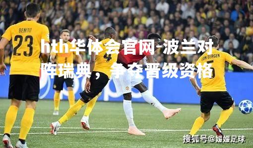 波兰对阵瑞典，争夺晋级资格